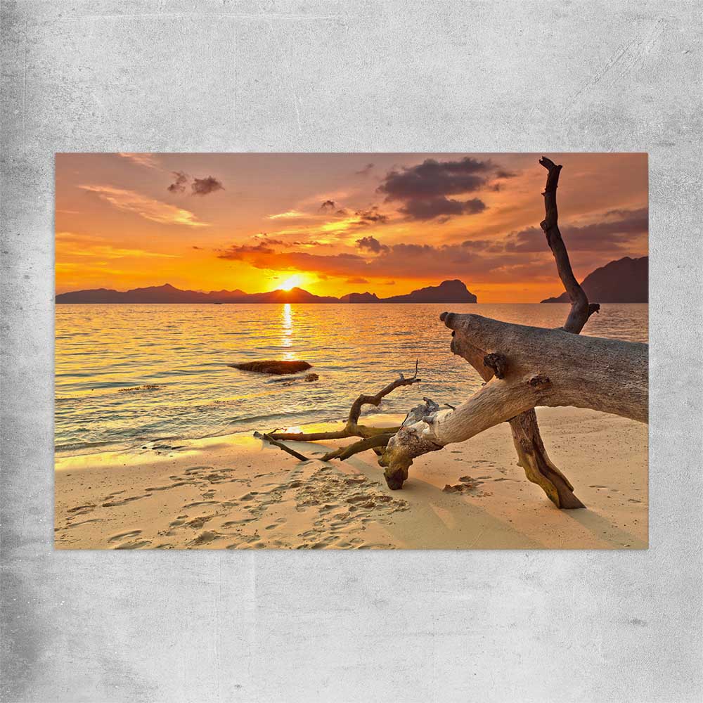 Beach and coastal wall art print of Driftwood at Sunset on a rolled print