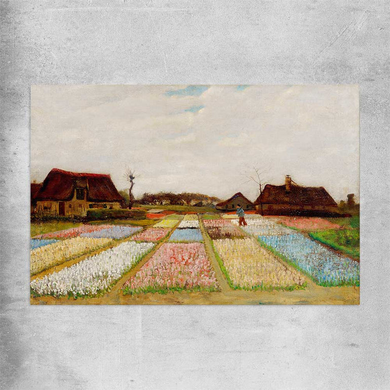 Classic wall art and canvas print of Bulb Fields Van Gogh on a rolled print