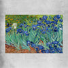 Classic wall art and canvas print of Irises Van Gogh on a rolled print
