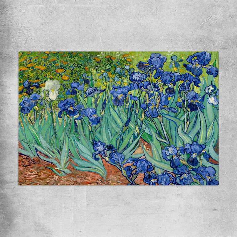 Classic wall art and canvas print of Irises Van Gogh on a rolled print