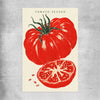 Heirloom Tomato Season rolled print is a colourful and stylish canvas wall art and print suited for the kitchen area