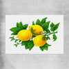 Lemon Botanical rolled print is a colourful and stylish canvas wall art and print suited for the kitchen area