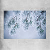 Floral print of Frosted Pine Canopy on a rolled print