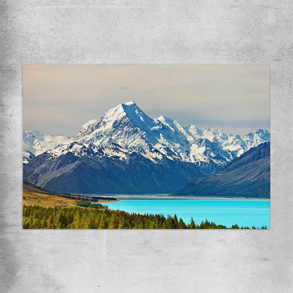 Floral print of Mount Cook Lake Tekapo on a rolled print