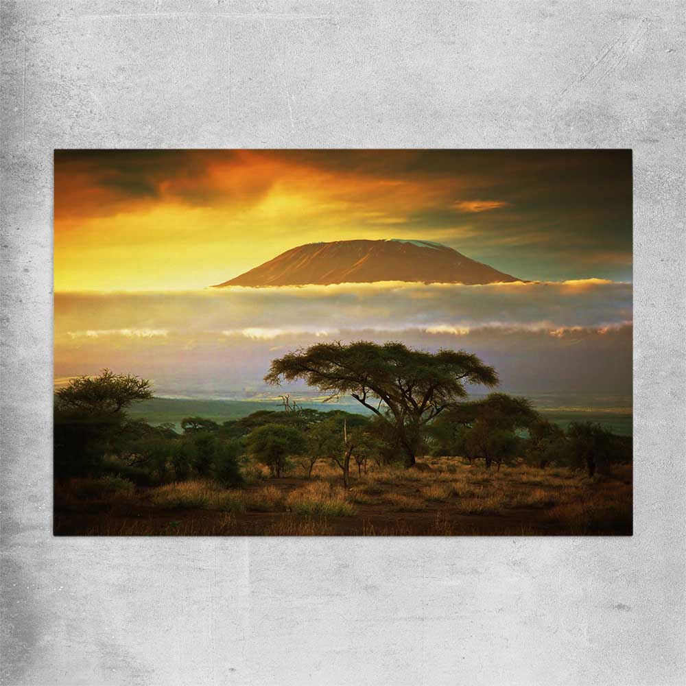 Floral print of Mount Kilimanjaro Sunset on a rolled print