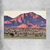 Floral print of Namib Rand Desert on a rolled print