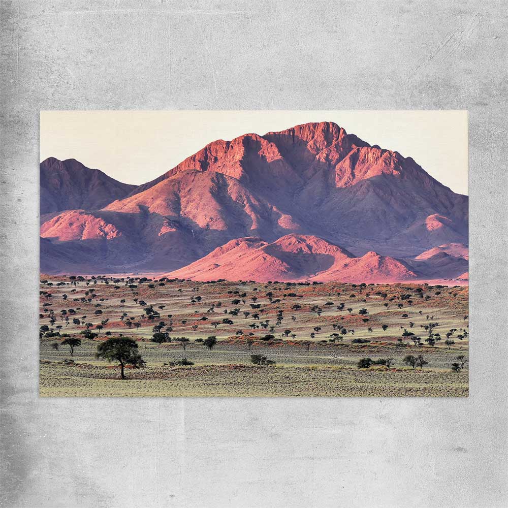 Floral print of Namib Rand Desert on a rolled print