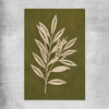 Floral print of Olive Branch on a rolled print