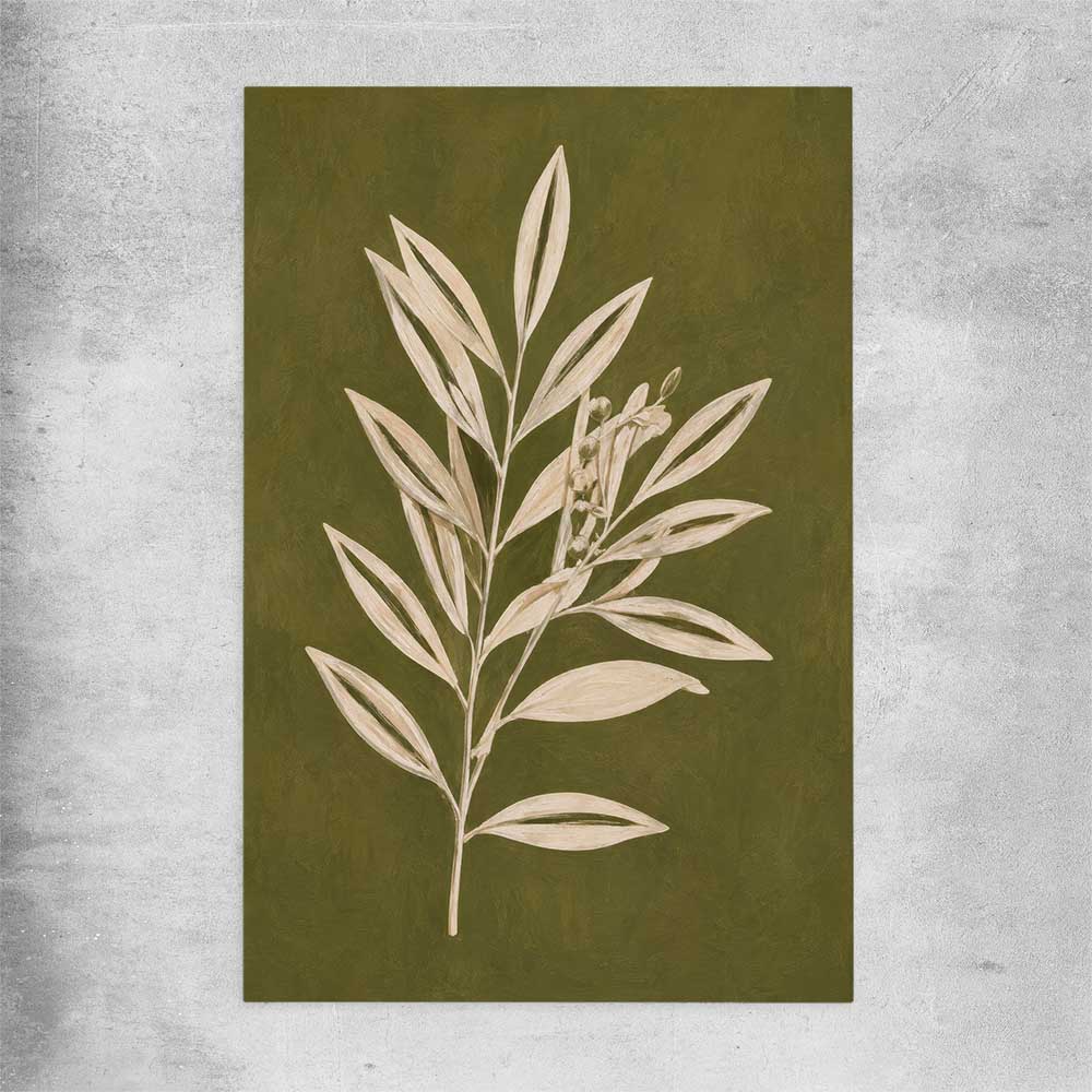 Floral print of Olive Branch on a rolled print