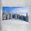 Floral print of Snowy Forest Path on a rolled print