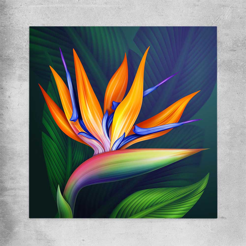 Floral print of Bird of Paradise Illustration on a rolled print