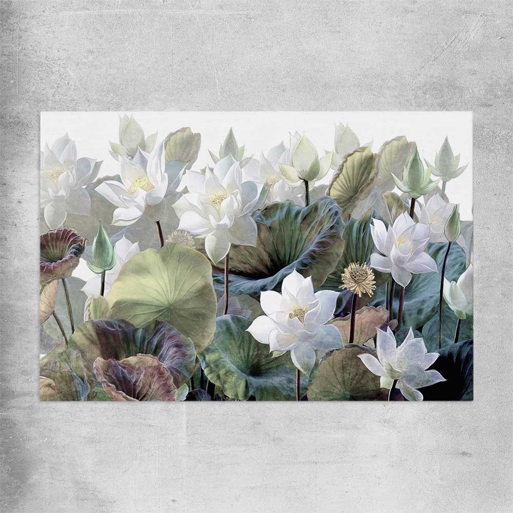 Floral print of Blooming Lotus Flowers on a rolled print