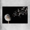 Floral print of Blowing Dandelion on a rolled print