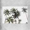 Floral print of Bright Palm Skies on a rolled print