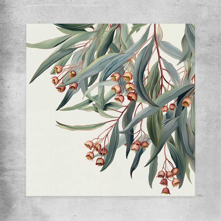 Floral print of Eucalyptus Illustration on a rolled print