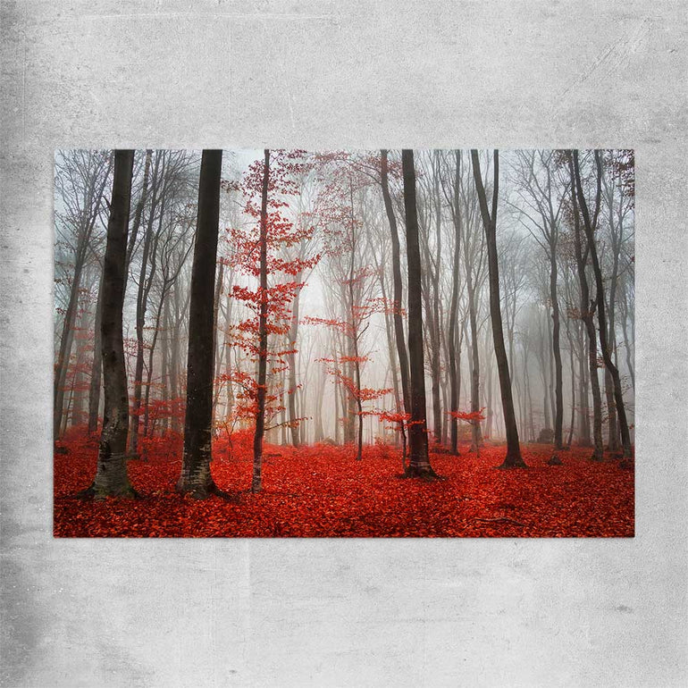 Floral print of Foggy Autumn Forest on a rolled print