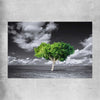Floral print of Green Tree Horizon on a rolled print