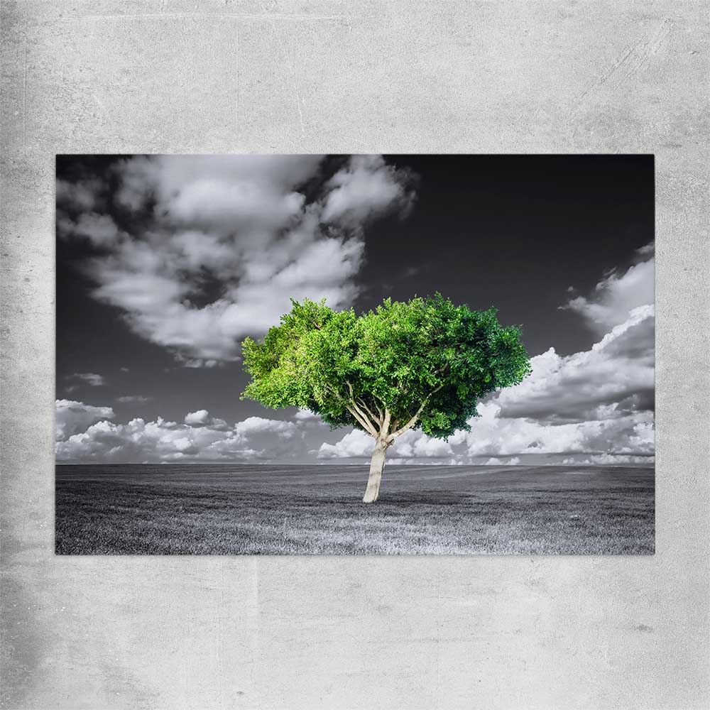 Floral print of Green Tree Horizon on a rolled print
