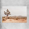 Floral print of Joshua Tree on a rolled print