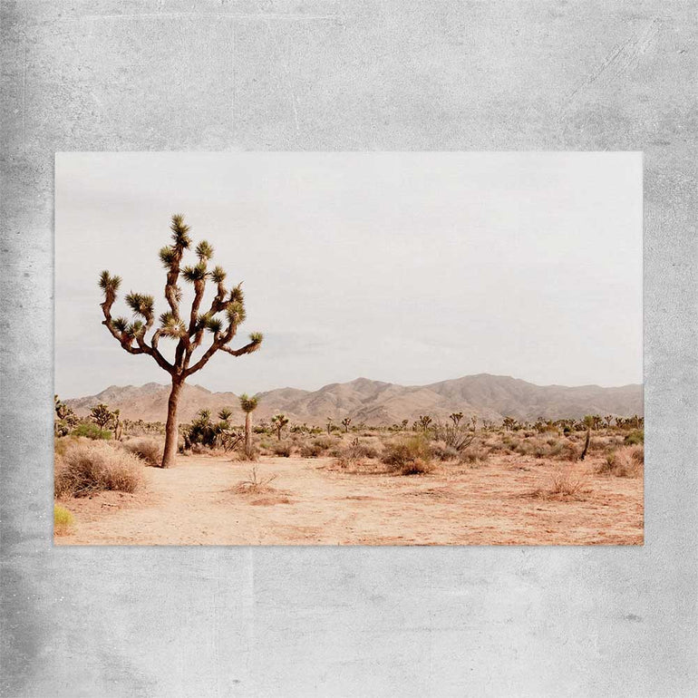 Floral print of Joshua Tree on a rolled print