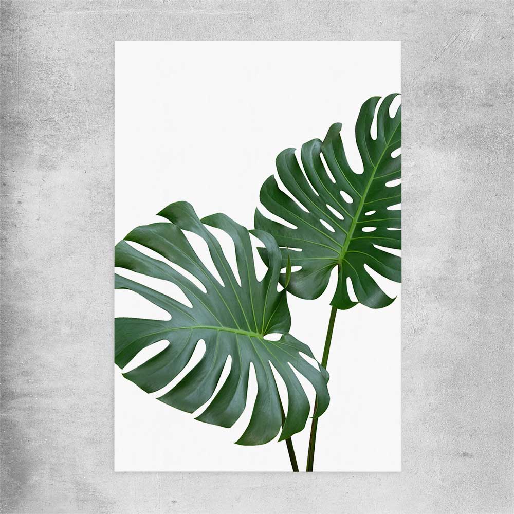 monstera deliciosa botanical print Monstera Leaf One Floral Wall Art Print or Canvas