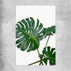 Floral print of Monstera Leaf Two on a rolled print