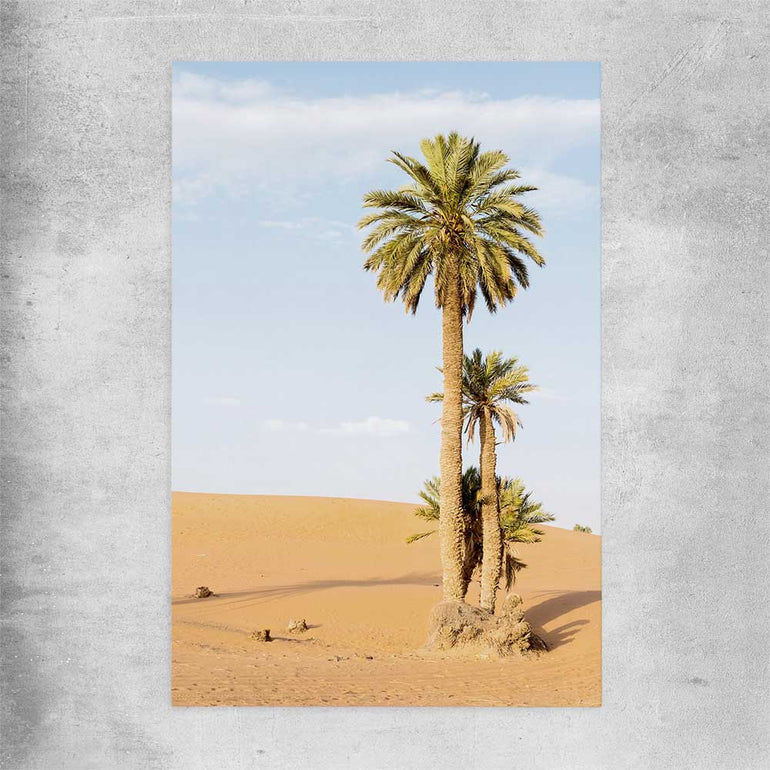 Floral print of Moroccan Palms on a rolled print