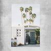 Floral print of Palm Springs Sky on a rolled print