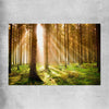 Floral print of Pine Forest Sunrise on a rolled print