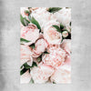 Floral print of Pink Peonies on a rolled print