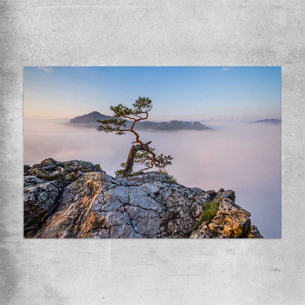 Floral print of Sokolica Peak Poland on a rolled print