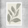 Floral print of Vintage Floral Three on a rolled print