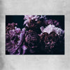 Floral print of Violet Peonies on a rolled print