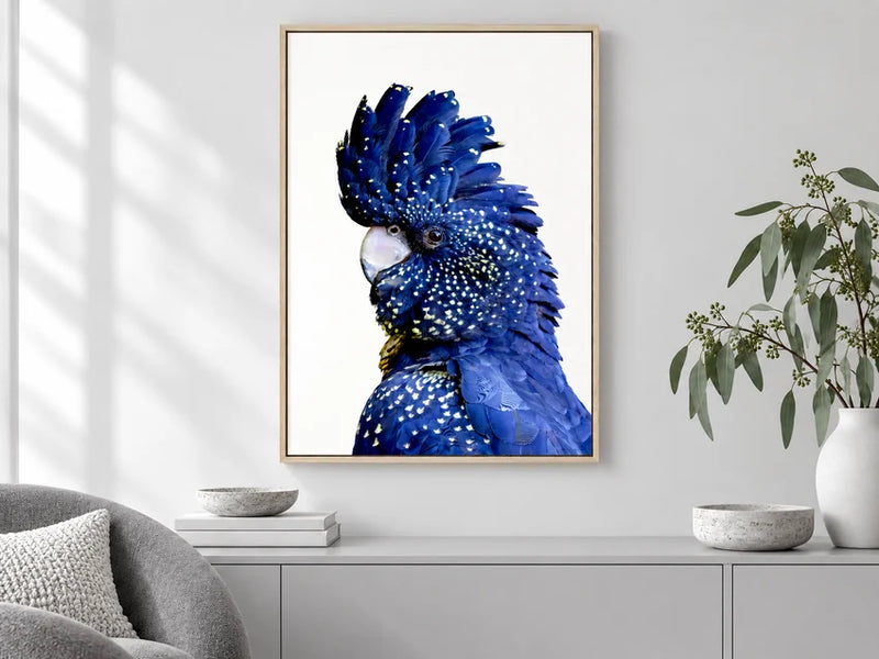 Black Cockatoo One wall art in a styled room, from the Printivart Animal collection