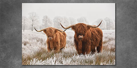 Collection list image for brown wall art