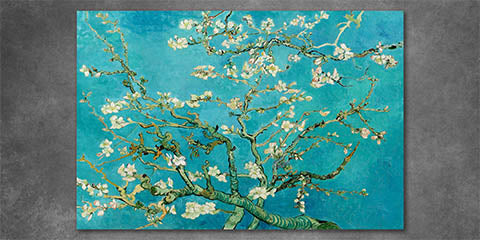 Collection list image for classic wall art