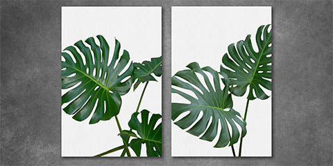 Collection list image for green wall art