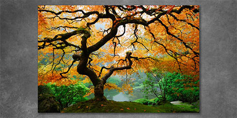 Collection list image for orange wall art