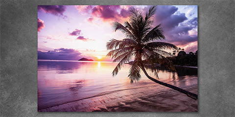 Collection list image for purple wall art