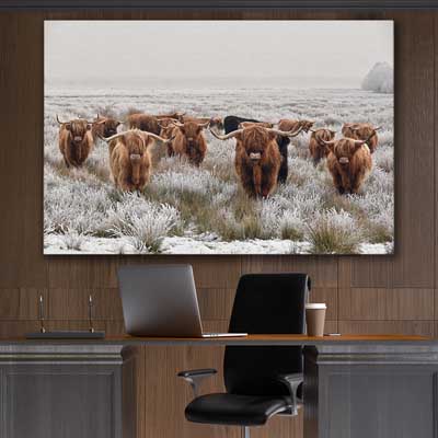 animal wall art and canvas prints of Highland Ranges